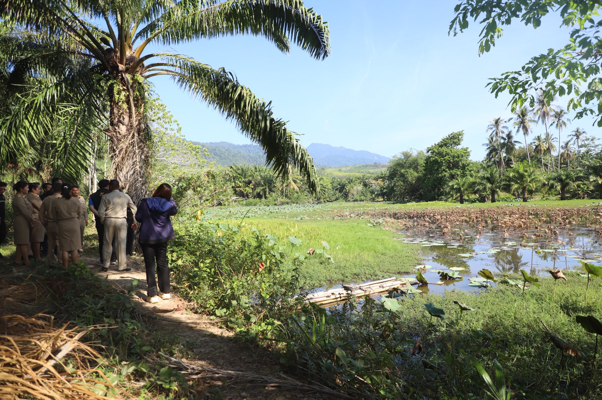 title - ข่าวดีชาวกระบี่ รมช.เกษตรฯ ลงพื้นที่ติดตามโปรเจกต์ยักษ์ ส.ป.ก. เร่งพัฒนาโครงสร้างพื้นฐานแปลงพื้นที่เป้าหมาย คทช. ในเขตปฏิรูปที่ดิน กว่า 4,300 ไร่ มุ่งสร้างอาชีพอย่างยั่งยืน